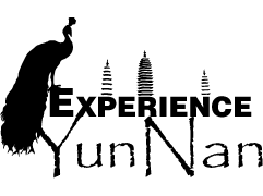 Experience YunNan