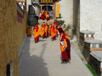 נזירים טיבטיים